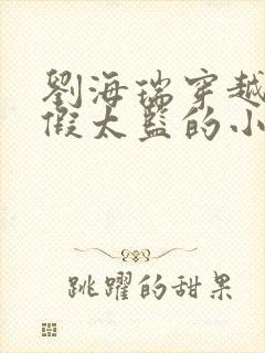 刘海瑞穿越后宫假太监的小说