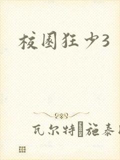 校园狂少3封面