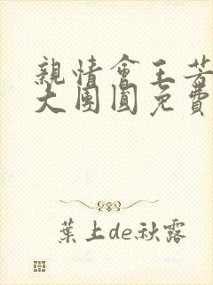 亲情会王芳高敏大团圆免费阅读