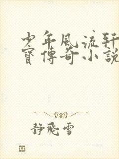 少年风流轩辕大宝传奇小说