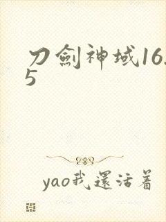 刀剑神域16.5封面