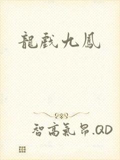 龙戏九凤封面