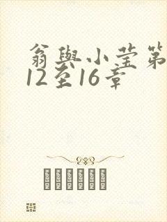 翁与小莹第十部12至16章封面