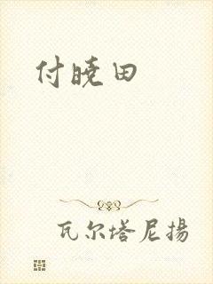 付晓田