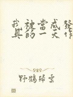 我被当成发泄玩具的一天作文封面