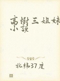 高树三姐妹有声小说