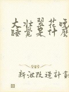 大壮翠花晚上不睡觉是什么电视剧