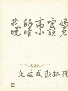 我的高官妈妈苏晚晴小说免费阅读封面