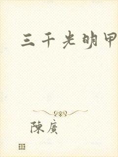 三千光明甲