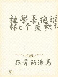 被学长抱进小树林c个爽软件