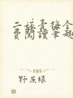 二嫁青梅全文免费阅读笔趣阁