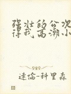 强壮的公次次弄得我高潮小说封面