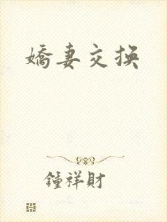 娇妻交换封面