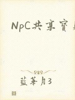 NpC共享宝贝