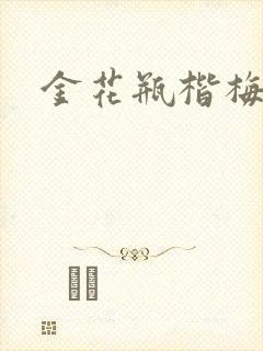 金花瓶楷梅花4封面