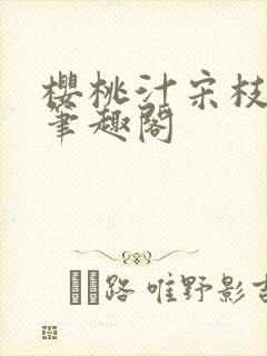 樱桃汁宋枝江野笔趣阁封面