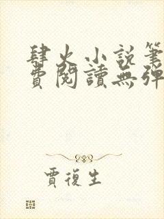 肆火小说笔趣免费阅读无弹窗封面