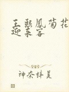 王熙凤菊花门初迎来客