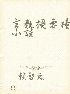 言教授要撞坏了小说