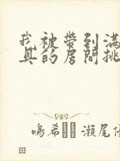 我被带到满是玩具的房间挑调作文