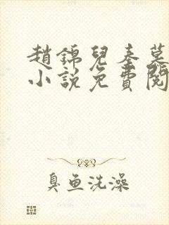 赵锦儿秦慕修的小说免费阅读全文封面