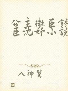 公主微臣馋了微臣沈妤小说