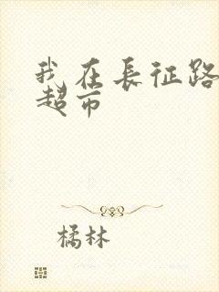 我在长征路上开超市封面