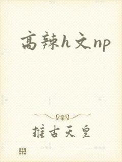 高辣h文np