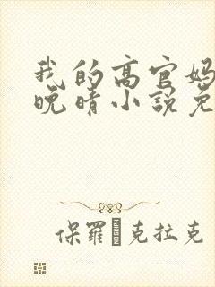 我的高官妈妈苏晚晴小说免费阅读