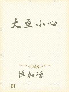 大鱼小心封面