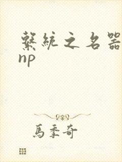 系统之名器攻略np