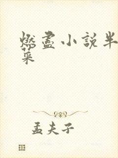 燃尽小说半截白菜