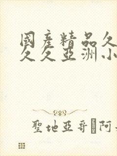 国产精品久久久久久亚洲小说