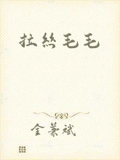 拉丝毛毛