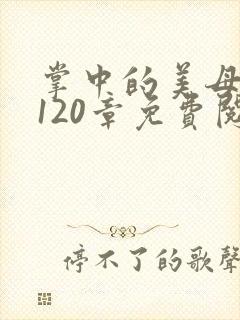 掌中的美母版主120章免费阅读