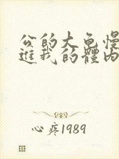 公的大龟慢慢挺进我的体内