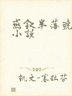 燕钗半落琥珀糖小说