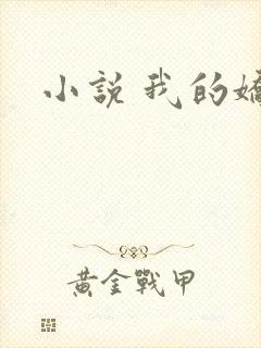 小说 我的娇妻