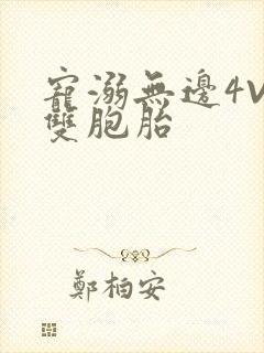 宠溺无边4V2双胞胎