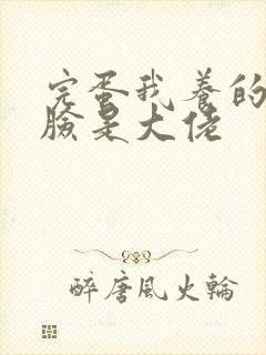 完蛋我养的小白脸是大佬