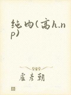 纯肉(高h.np)