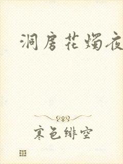 洞房花烛夜小说