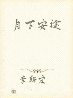 月下安途