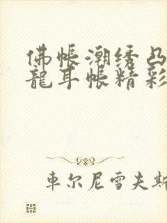 佛帐潮绣凸浮双龙耳帐精彩片段