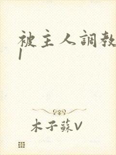 被主人调教1v1封面