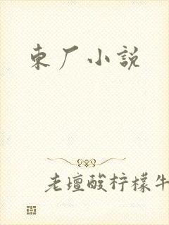 东厂小说