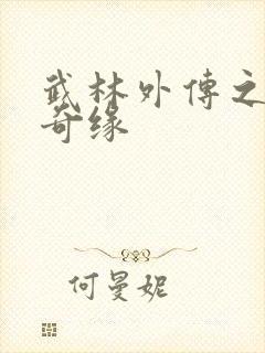 武林外传之同福奇缘封面