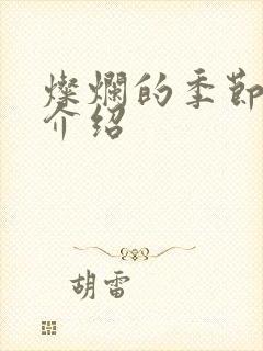 灿烂的季节剧情介绍封面