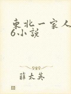 东北一家人1一6小说