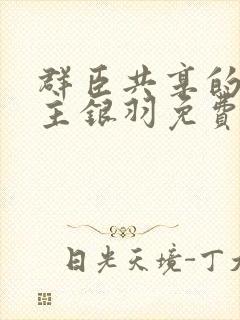 群臣共享的小公主银羽免费阅读